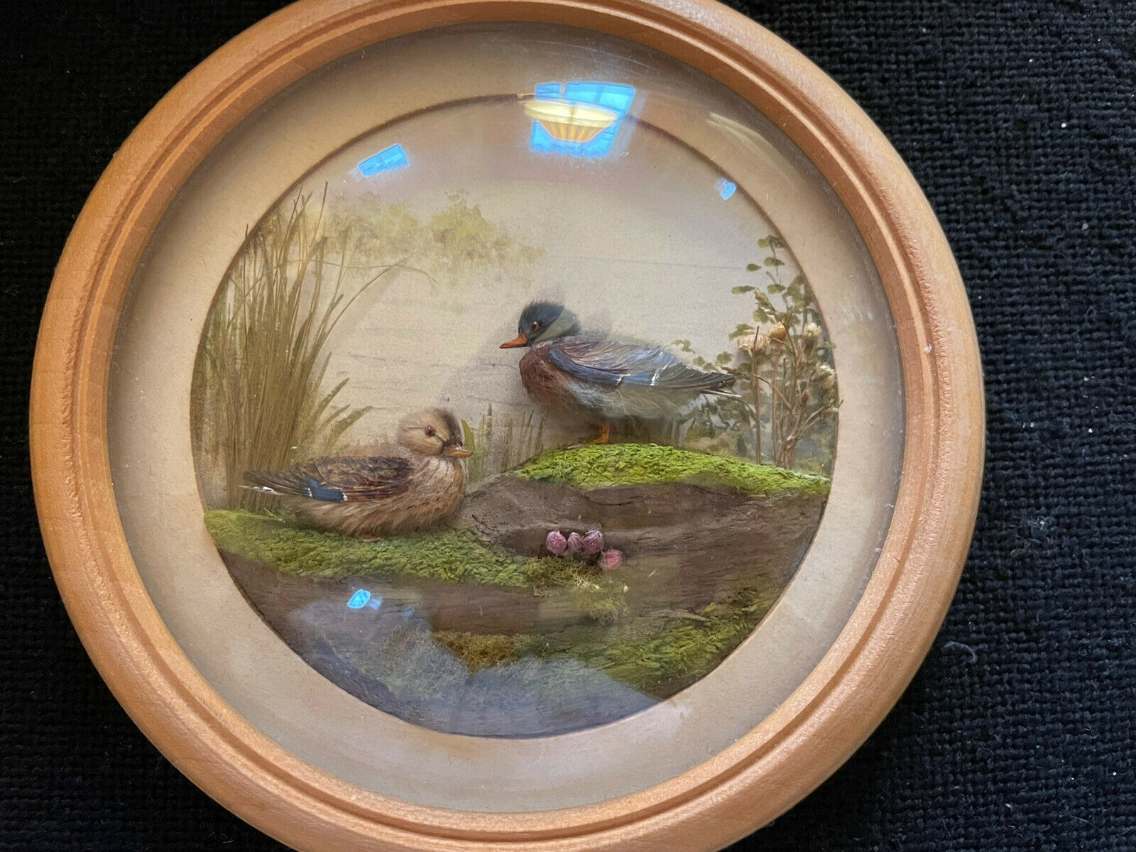 Mallard Duck and Drake (5-inch)